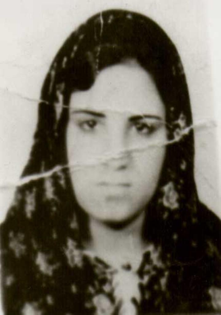فاقد تصویر